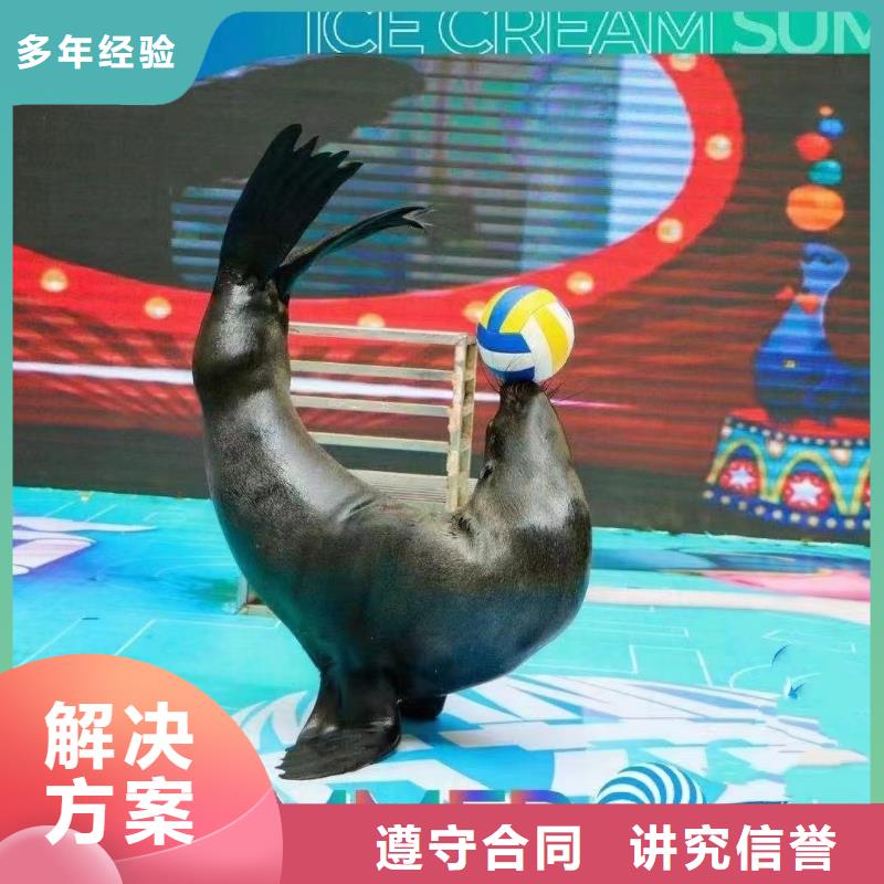 海洋生物展出租活动庆典