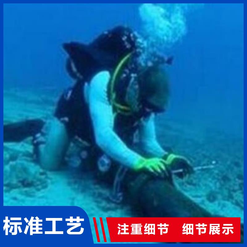 桥桩蛙人水下检测选桥桩蛙人水下检测厂家