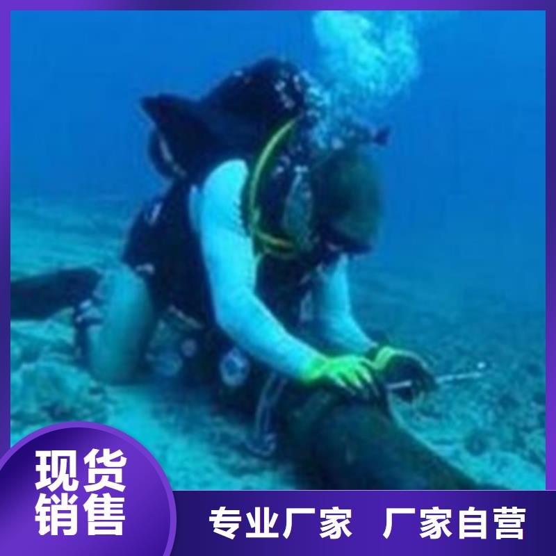 桥桩水下检测支持定制-这里有您想要的