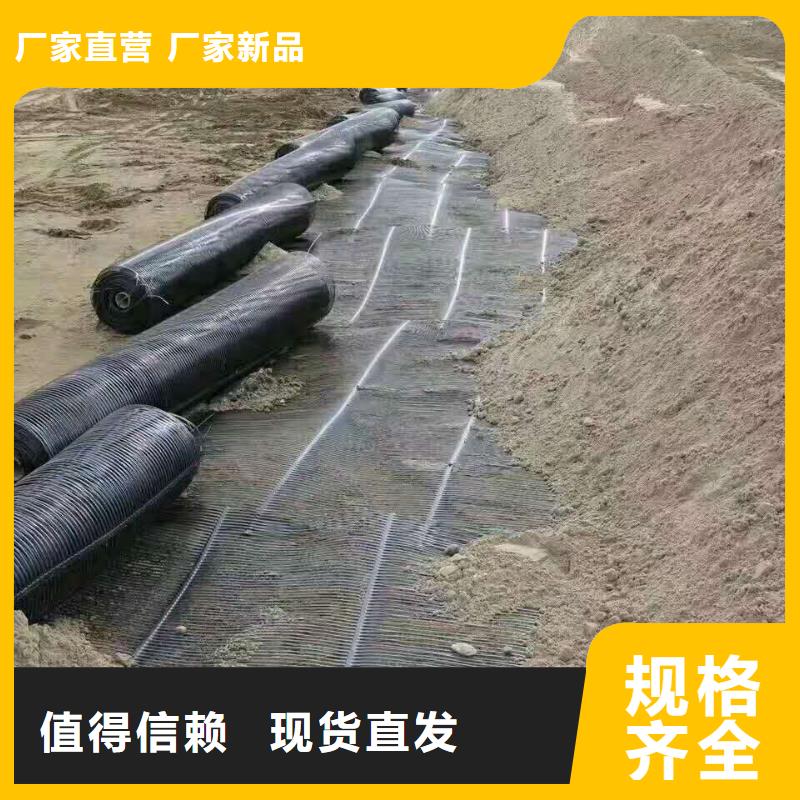 鋼塑土工格柵單價