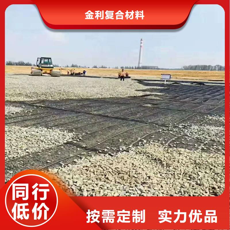 鋼塑土工格柵型號齊全