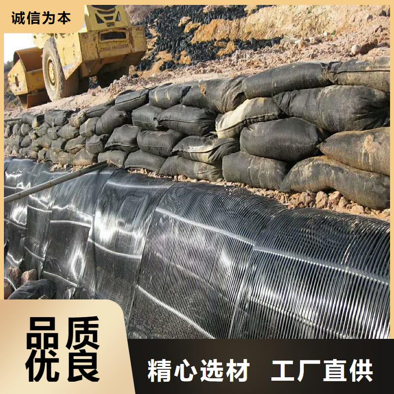 雙向塑料土工格柵實力廠家