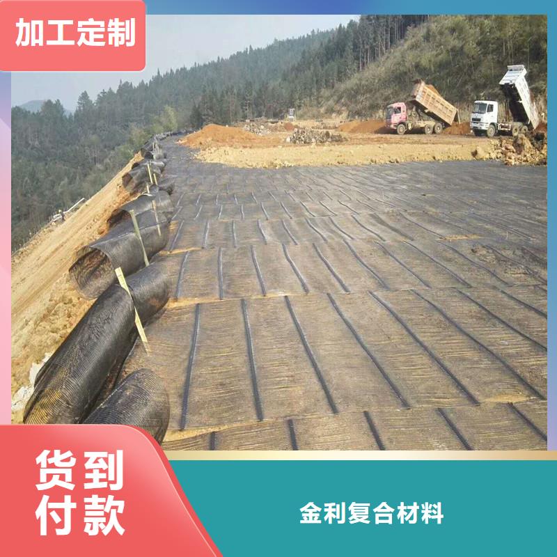 双向塑料土工格栅报价