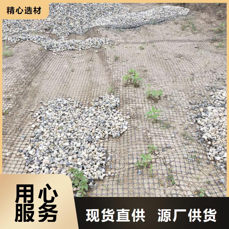 雙向塑料土工格柵源頭廠家