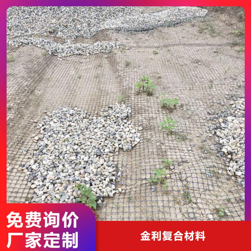 土工格柵\抗裂貼-鋼塑土工格柵做工精細