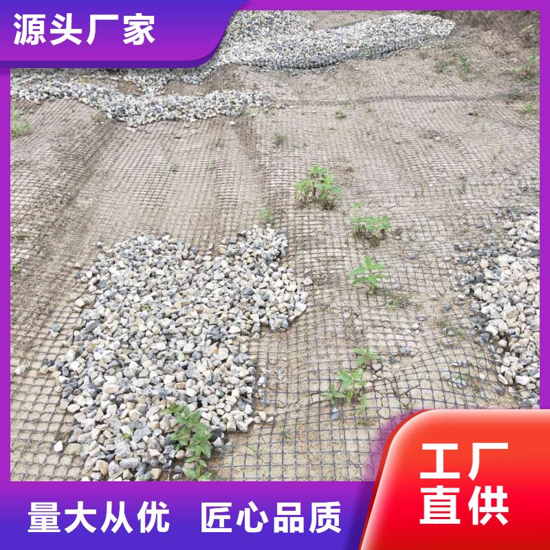 鋼塑焊接土工格柵批發價格