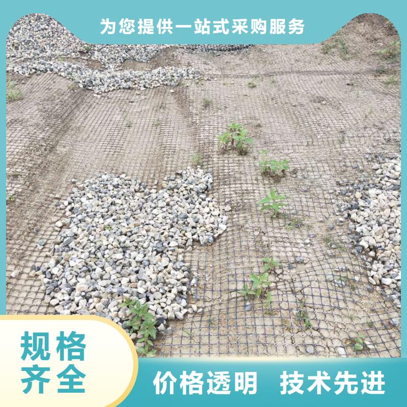 土工格柵\抗裂貼短纖無紡土工布精工制作