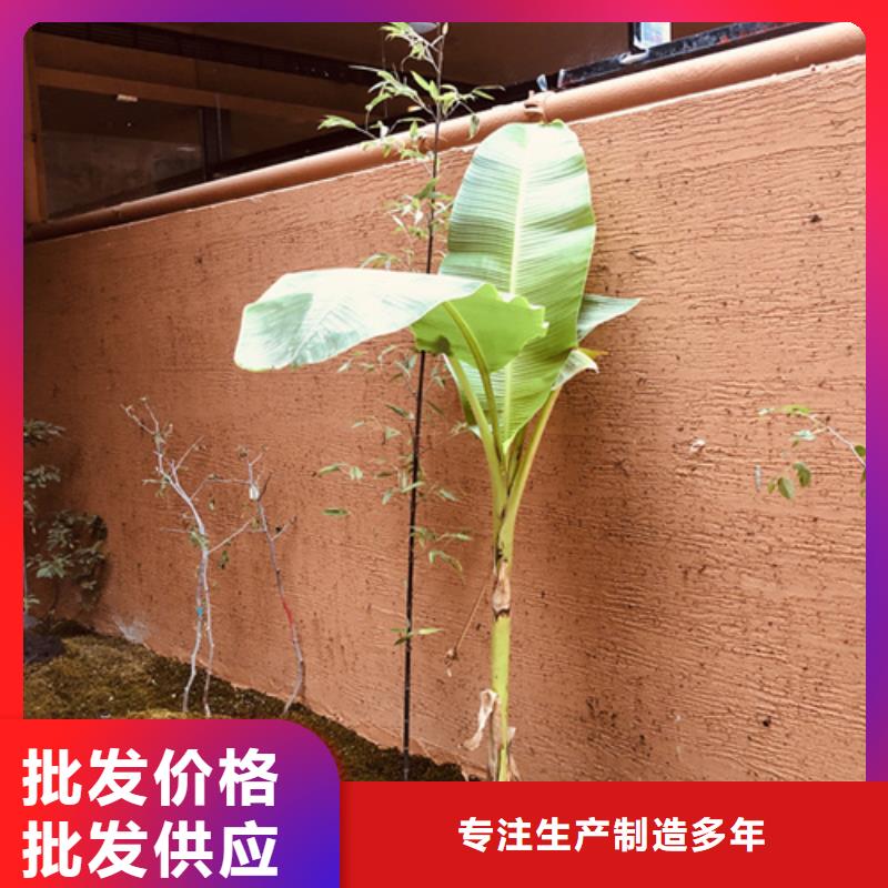 生产厂家内外墙稻草漆质优价廉