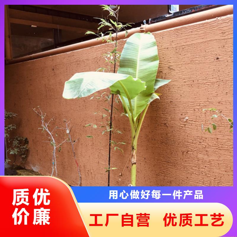 施工廠家生態稻草漆質量優選