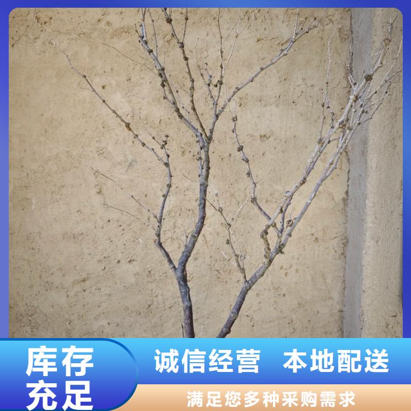 稻草漆價格