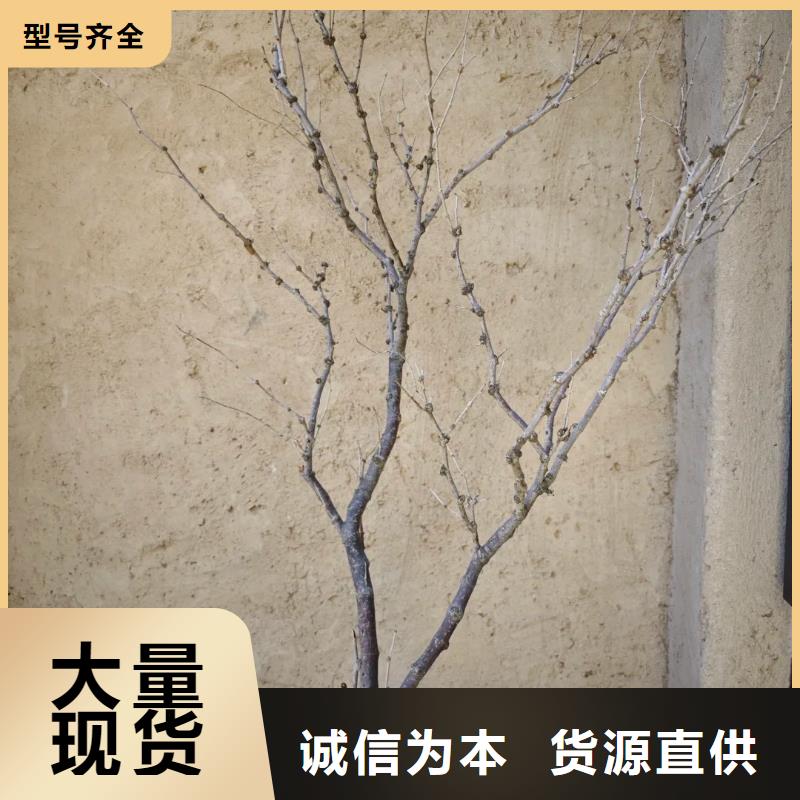 農(nóng)家樂稻草漆批發(fā)價