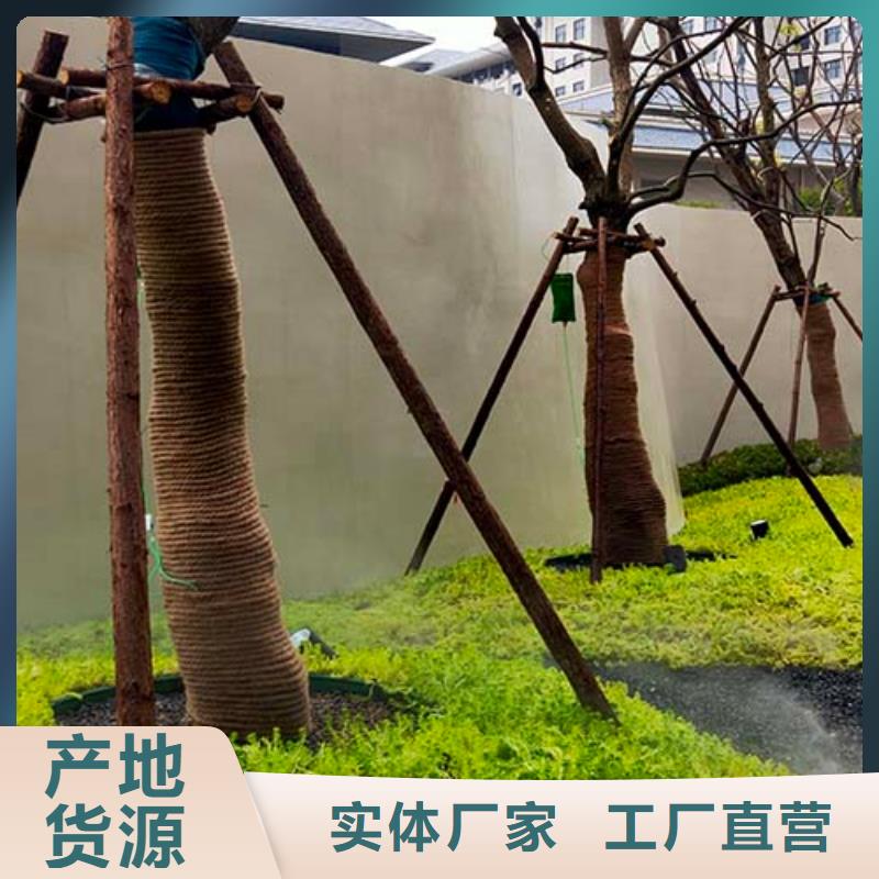 微水泥涂料價格