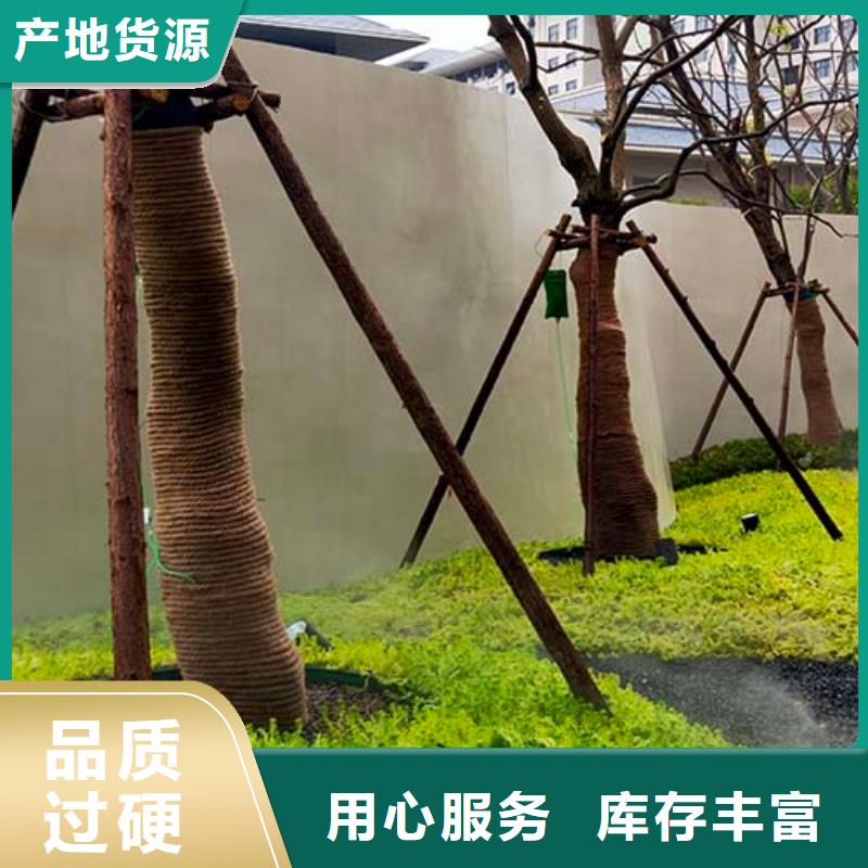 白沙縣微水泥藝術漆施工成本