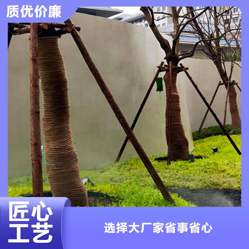 水泥漆_保證正品