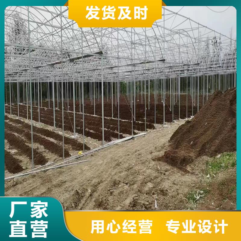 蓝莓温室大棚工厂直销金荣圣大棚