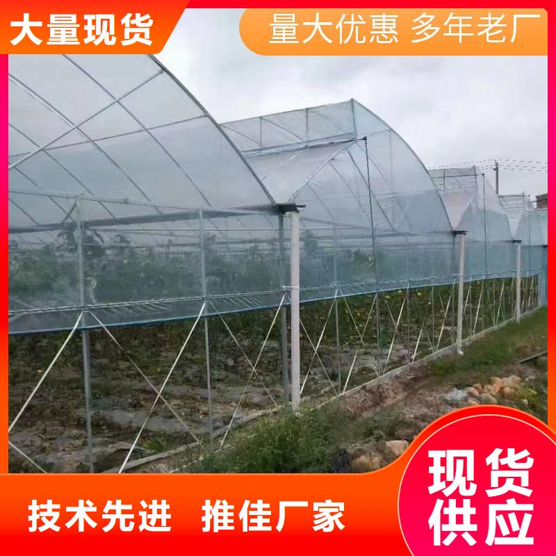 湖口县养殖大棚椭圆管厂家直销