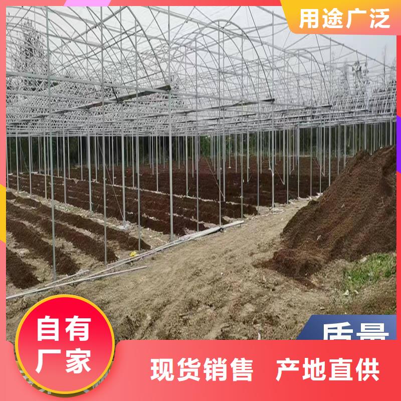 清河門區5.2米大棚鋼管廠工廠直銷【其