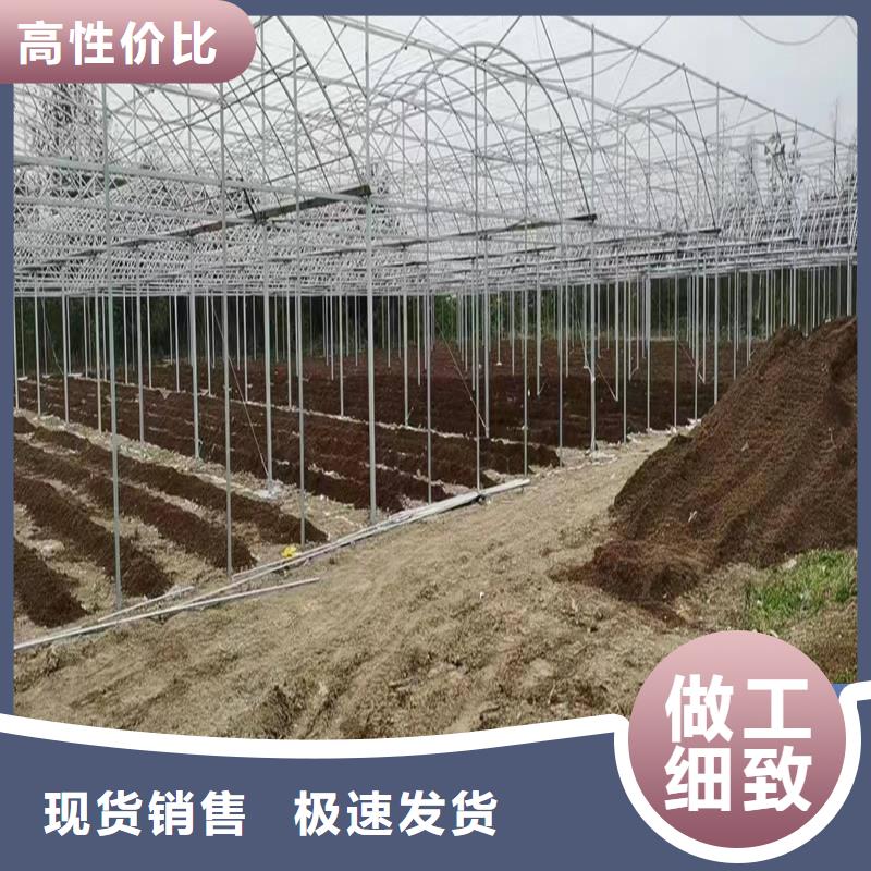 炎陵縣花卉育秧溫室大棚施工團隊