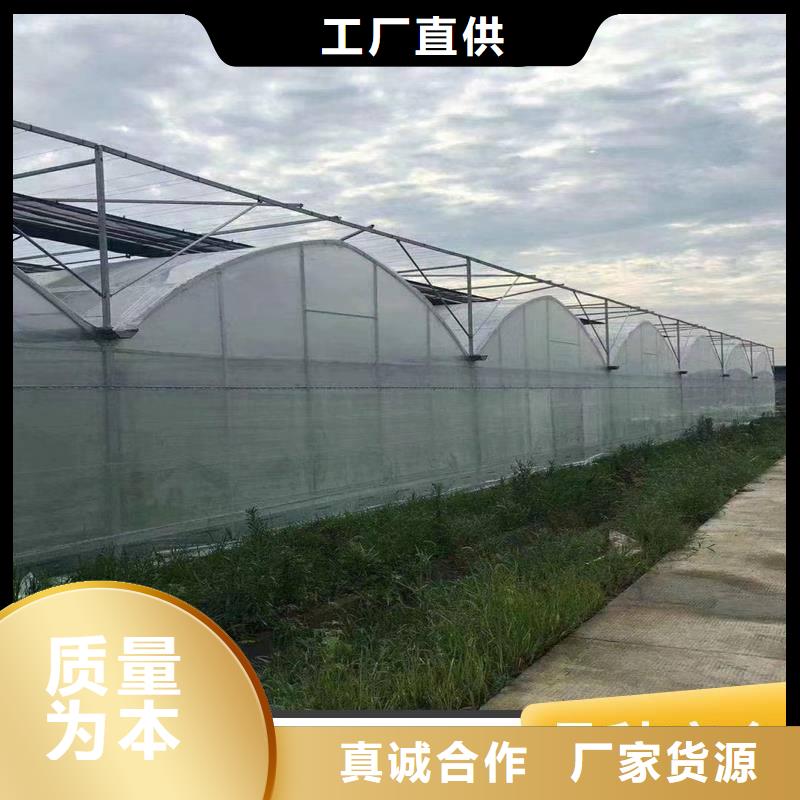 高安市葡萄沃柑種植大棚詢問報價