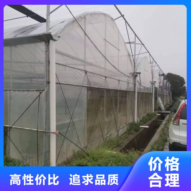 广东省周边《金荣圣》莲塘街道葡萄大棚专用膜工厂直销2024乡村振兴计划