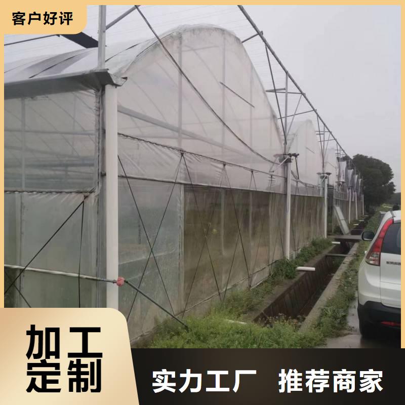 黎川縣菌菇木耳大棚黑白膜按需定制