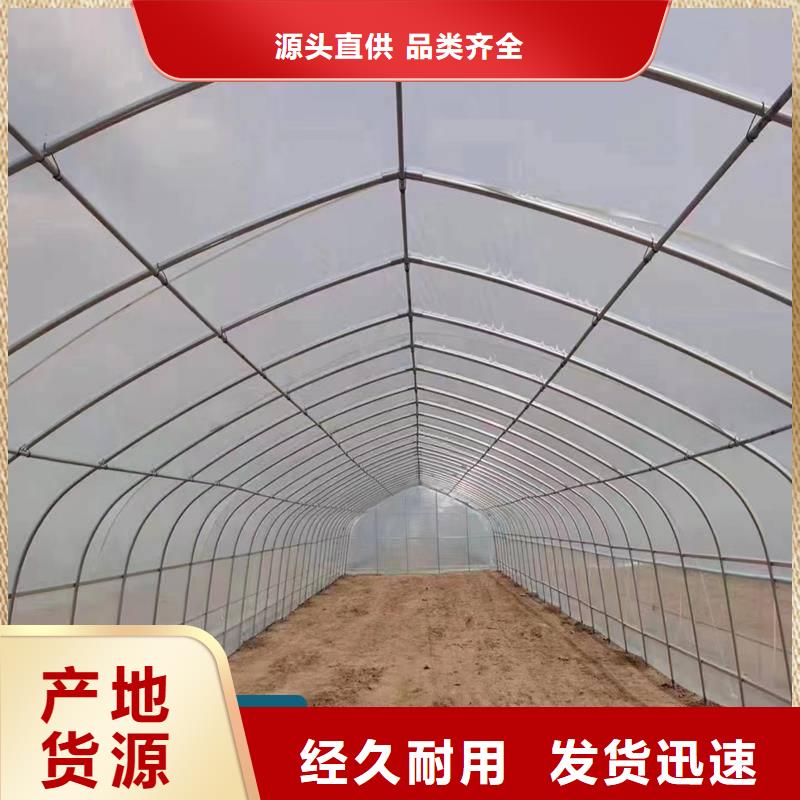 湖南优选《金荣圣》安仁县农业大棚管10年经验