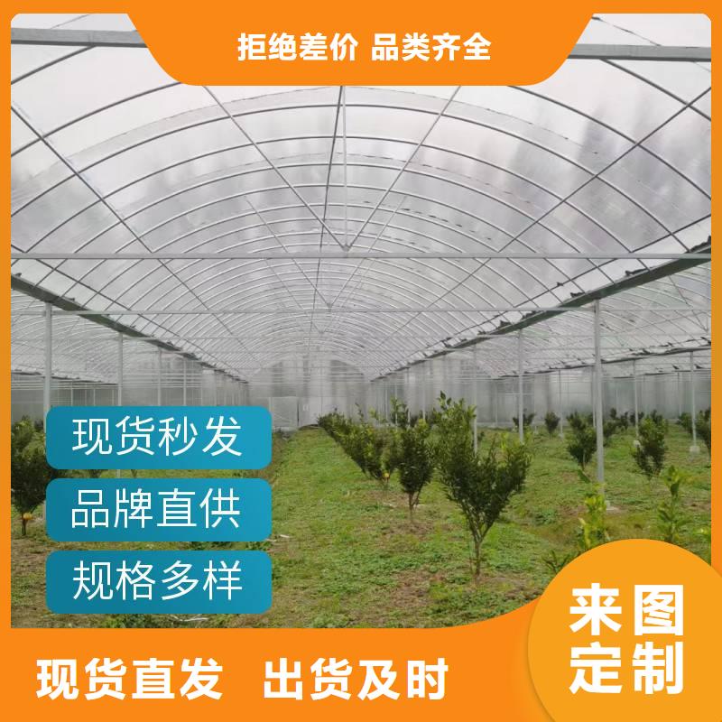 福贡县葡萄大棚专用膜价格优惠2025乡村振兴计划