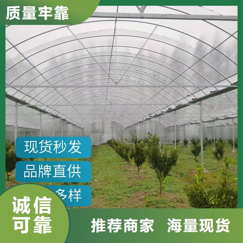 广东省专业的生产厂家金荣圣端州区葡萄大棚专用膜价格优惠2024乡村振兴计划