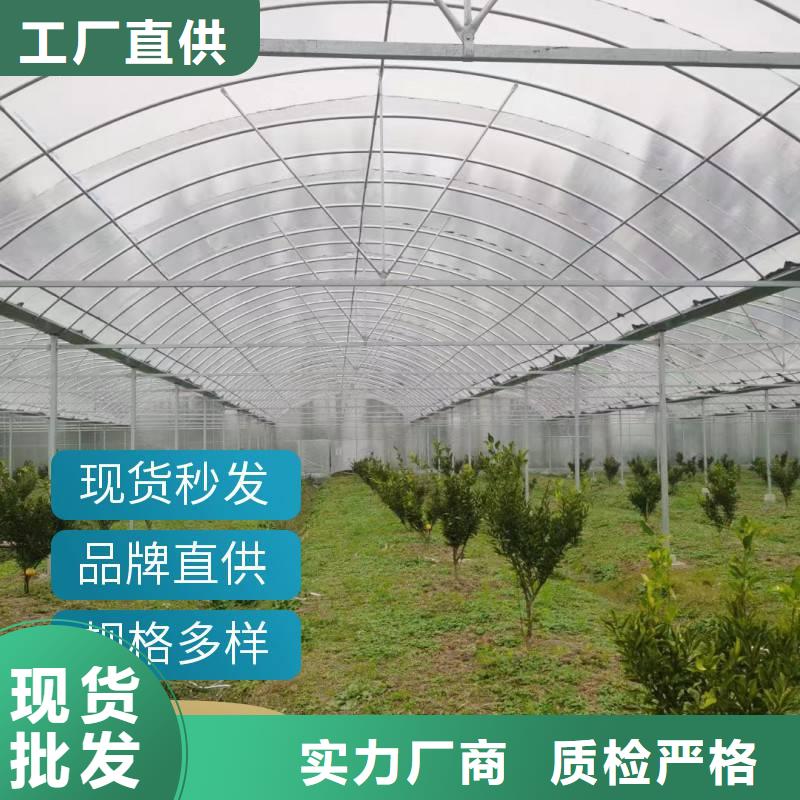 蔬菜温室大棚钢管厂家批发供应2024-全国配送