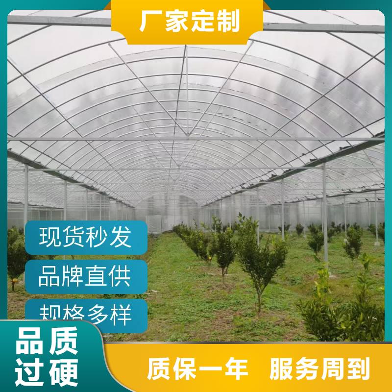 莒南县连栋温室钢架大棚种类齐全2024-8-28