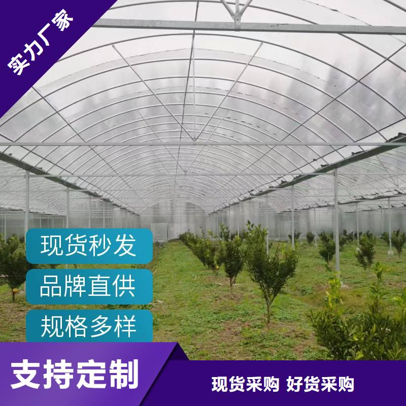 广东省工程施工案例金荣圣莞城街道杨梅大棚PO膜现货齐全2024乡村振兴计划