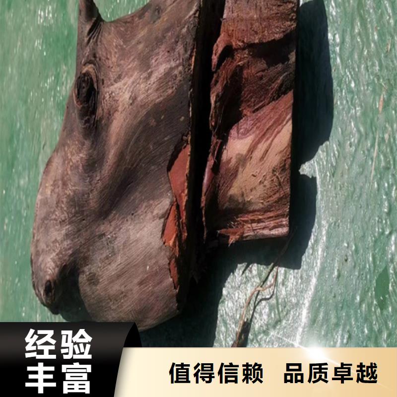 码头检测欢迎电询