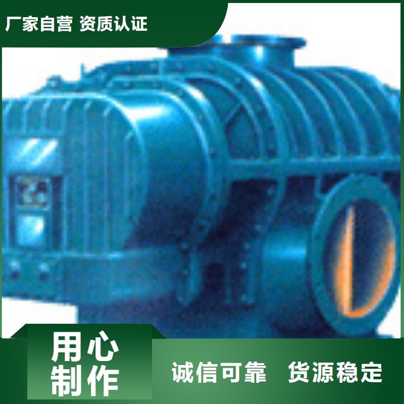 2025推薦三葉羅茨鼓風(fēng)機(jī)LFSR150