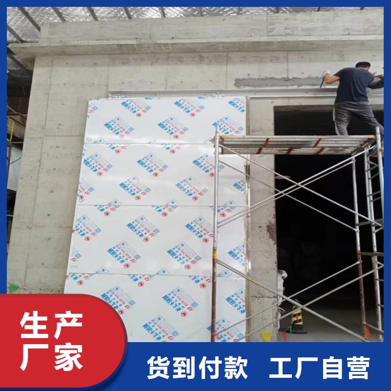 #电动铅门1000*2400mm#-品牌厂家