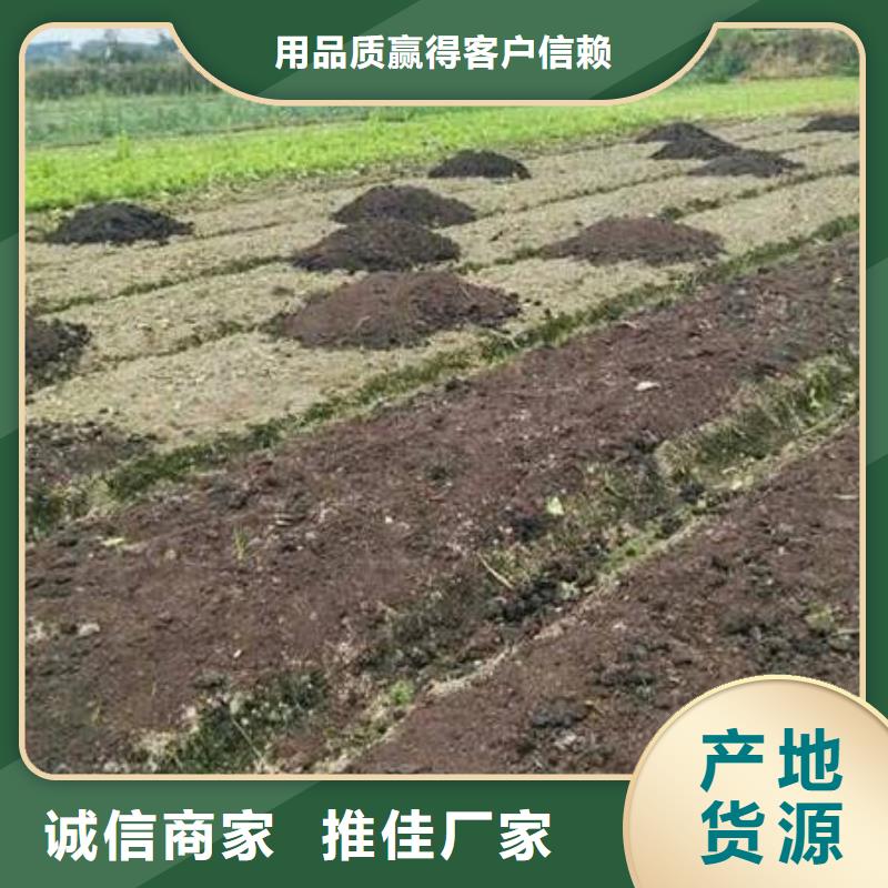 昌江县有机肥厂家