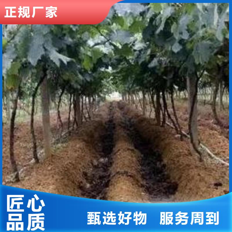 深圳广州惠州鸡粪有机肥改良土壤