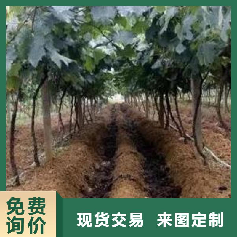 稻壳粪好肥料