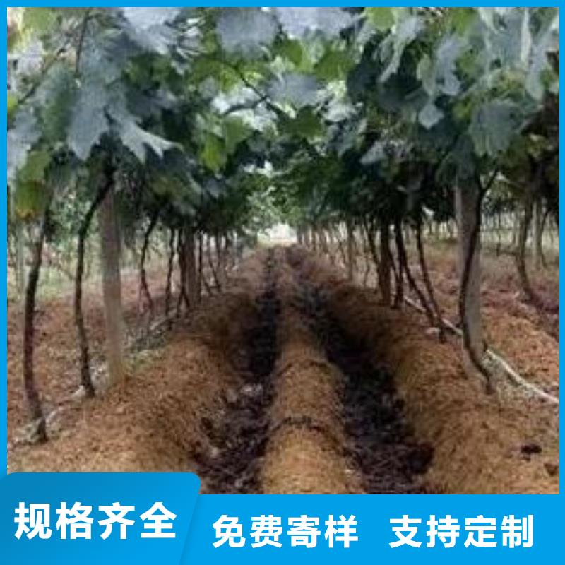 菏泽曹县成武鸡屎粪增施能丰收