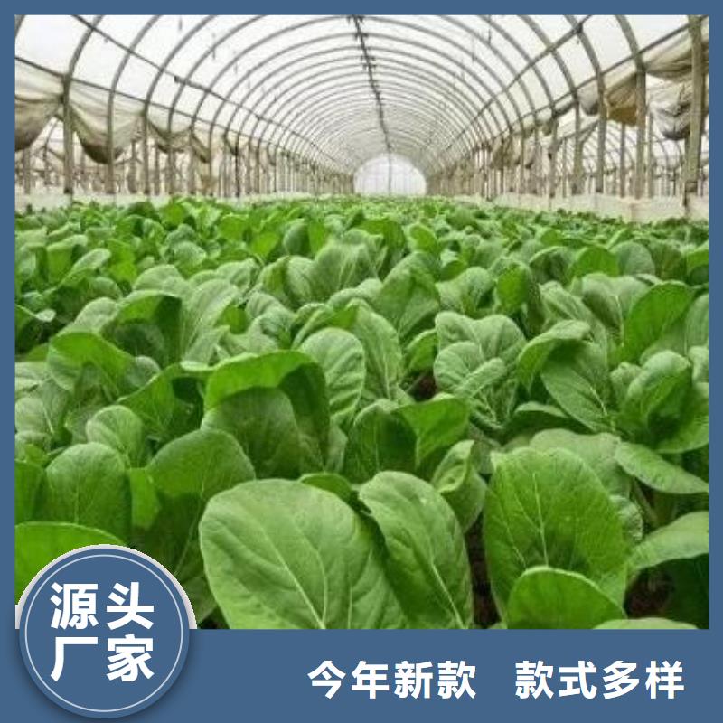 威海文登平度干鸡粪用量