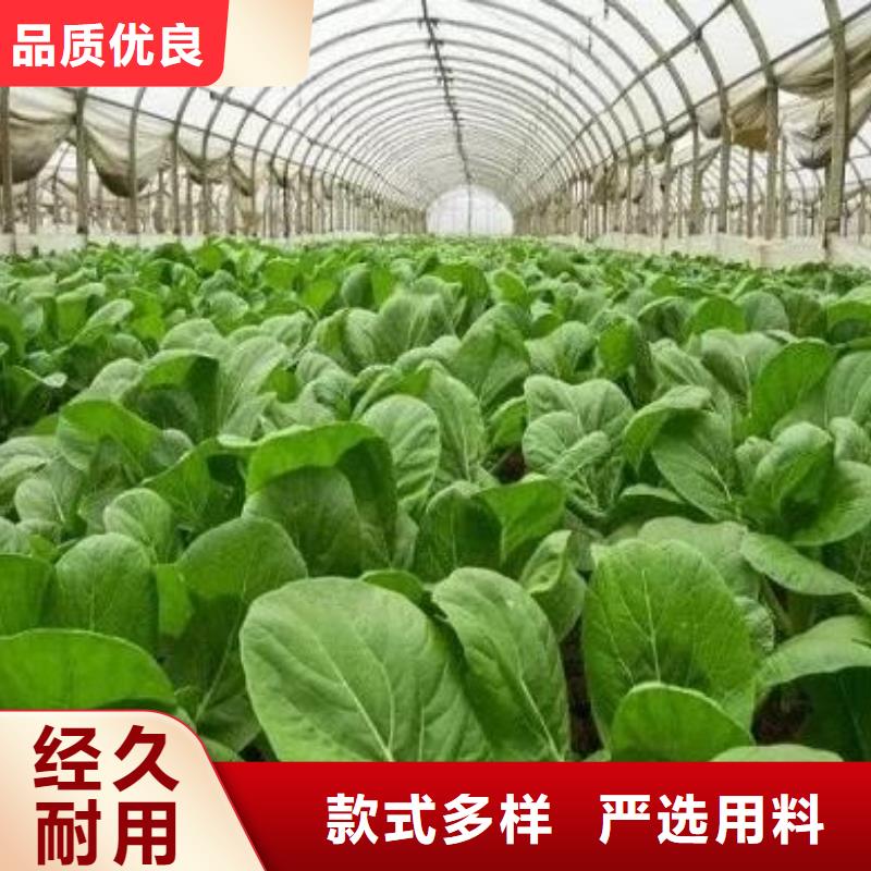 广东广州黄埔鸡粪有机肥专门改良农田