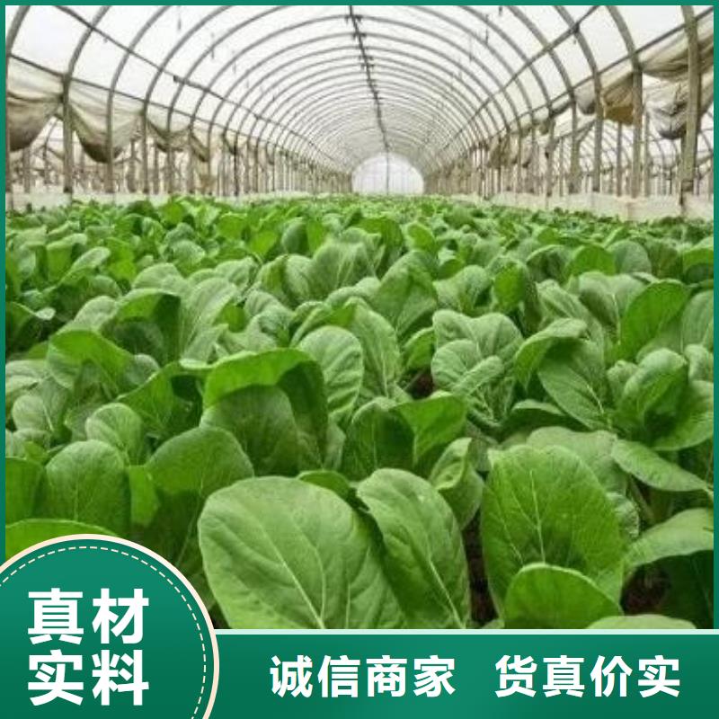 汕尾惠州聊城赤峰辽阳朝阳羊粪有机肥减少肥料投入