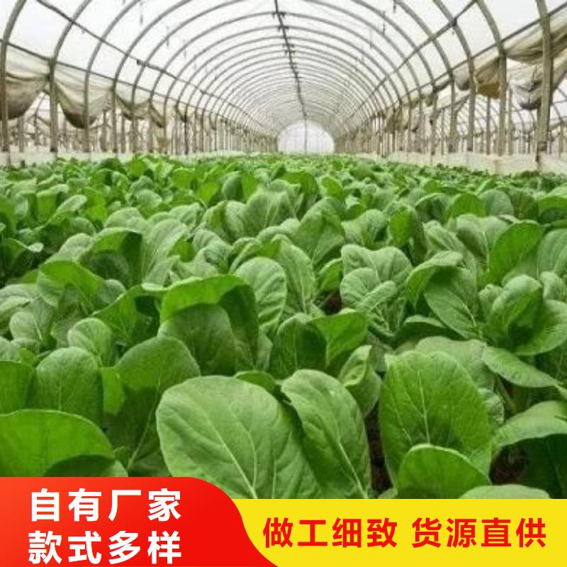 广东广州黄埔鸡粪有机肥专门改良农田