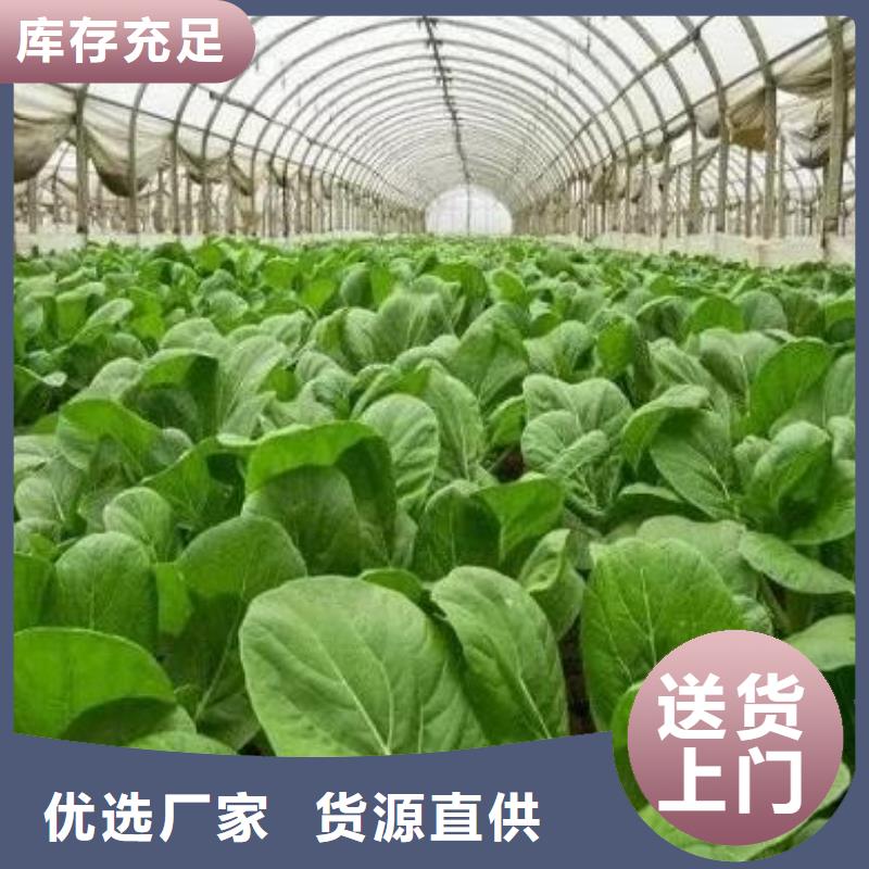 潍坊东营滨州发酵羊粪促进循环利用