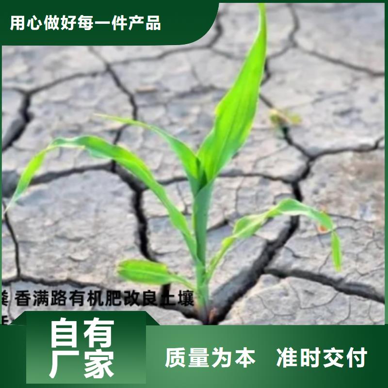 曬干雞糞改良蔬菜地土壤