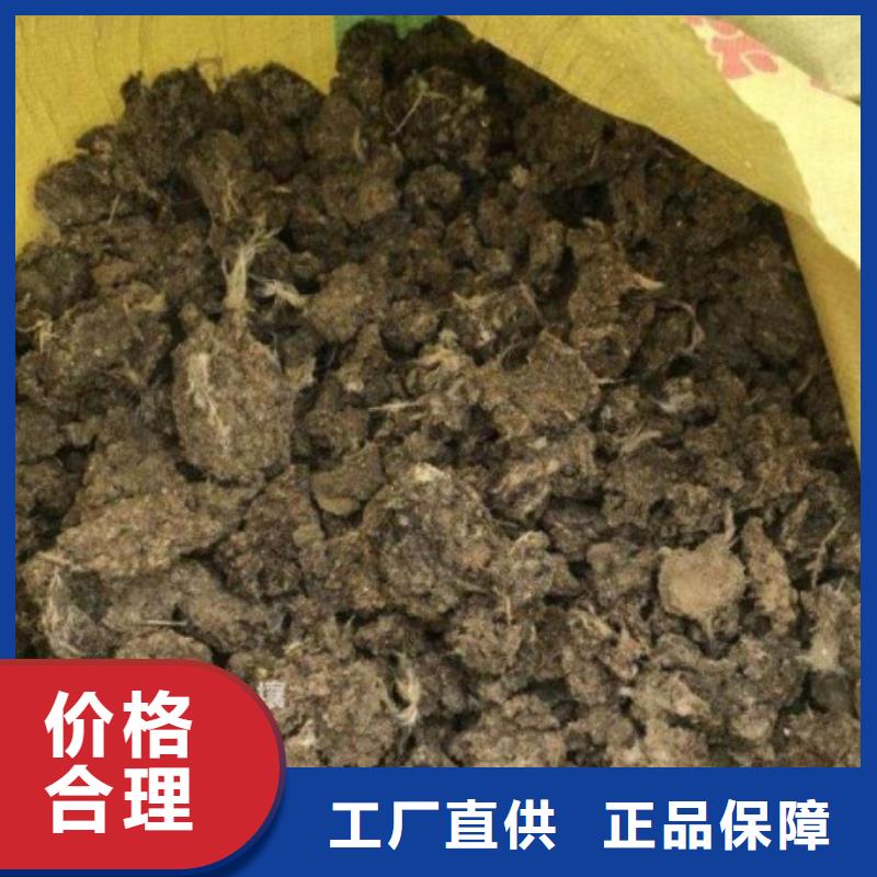 【雞糞】,干雞糞免費獲取報價