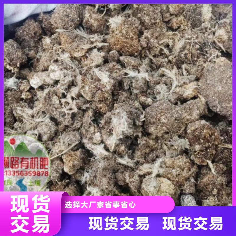 稻殼雞糞蔬菜大棚用不錯