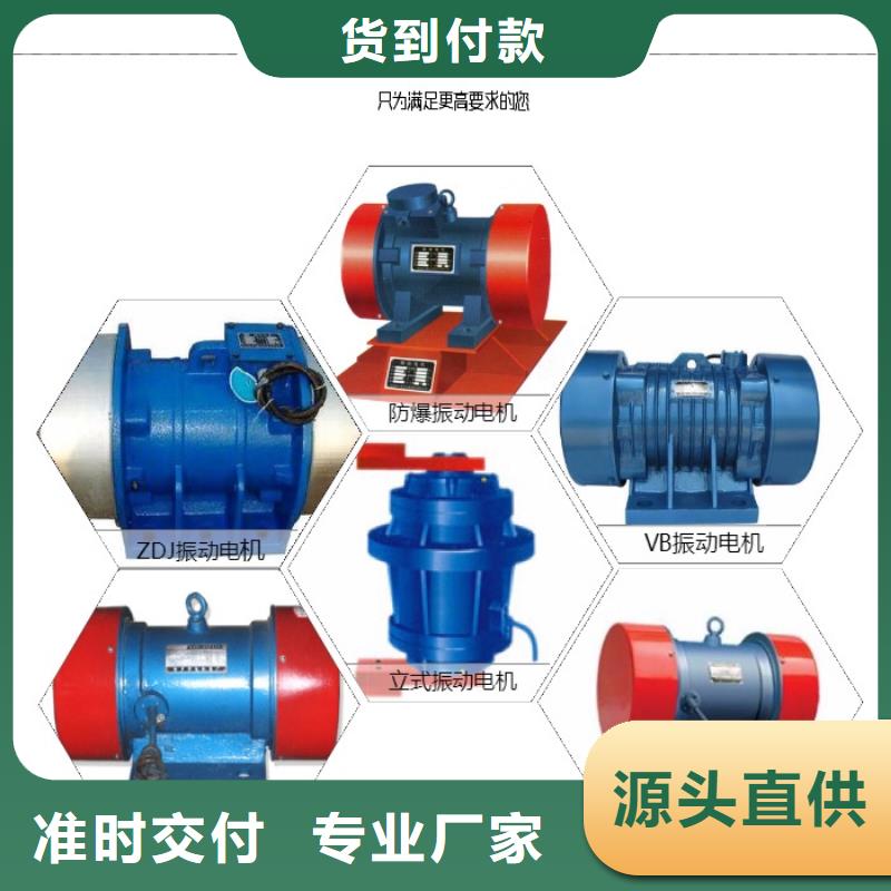 振動電機防爆電機廠家定制