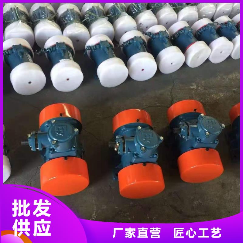 防爆振動(dòng)電機(jī)振動(dòng)篩安心購