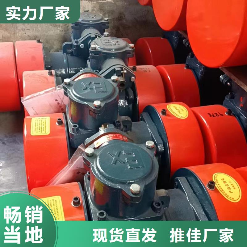 防爆振動(dòng)電機(jī)_提升機(jī)廠家滿足您多種采購需求