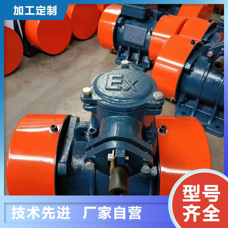 防爆振動(dòng)電機(jī)規(guī)格型號常用指南振動(dòng)電機(jī)批發(fā)零售